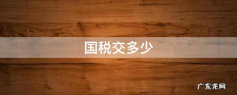 国税要交多少 国税交多少