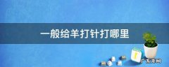 给羊打针打什么地方好 一般给羊打针打哪里