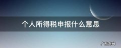 什么叫个人所得税申报 个人所得税申报什么意思