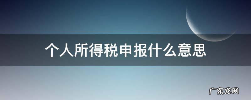 什么叫个人所得税申报 个人所得税申报什么意思