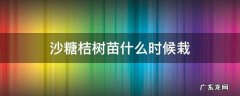 沙糖桔树苗什么时候栽 沙糖桔什么时候栽小苗好