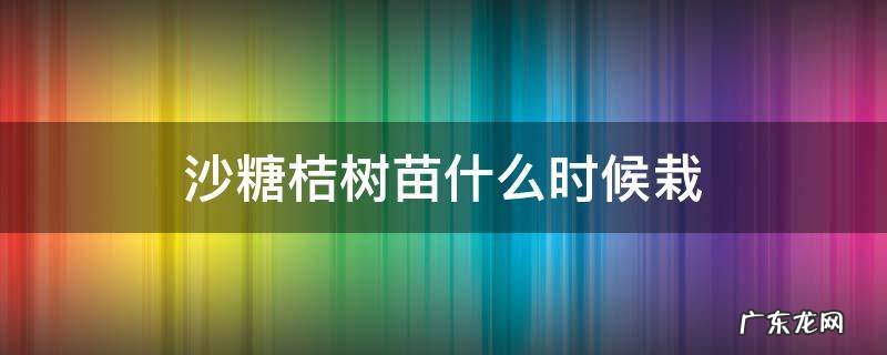 沙糖桔树苗什么时候栽 沙糖桔什么时候栽小苗好