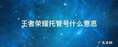 王者号托管安全吗 王者荣耀托管号什么意思