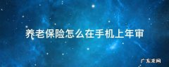 温州养老保险怎么在手机上年审 养老保险怎么在手机上年审