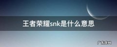王者荣耀snk是什么意思 王者荣耀里面的snk是什么意思