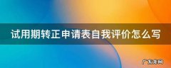 试用期转正申请表自我评价怎么写 试用期转正申请表自我评价怎么写啊