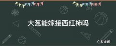 小葱跟西红柿可以种一起吗 大葱能嫁接西红柿吗