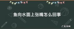 鱼向水面上张嘴怎么回事 鱼张嘴在水面是什么原因