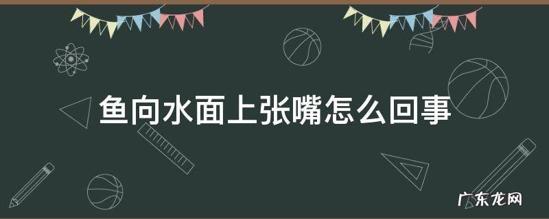 鱼向水面上张嘴怎么回事 鱼张嘴在水面是什么原因