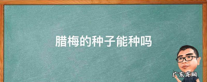 腊梅种子可以自己种吗 腊梅的种子能种吗