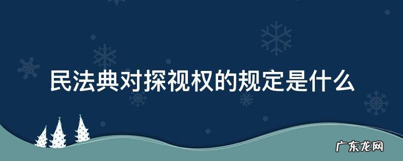 法院关于探视权的规定 民法典对探视权的规定是什么