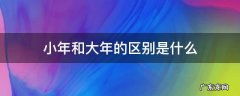 小年和大年的区别是什么 什么叫大年什么是小年