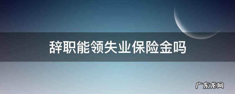 个人原因辞职能领失业保险金吗 辞职能领失业保险金吗