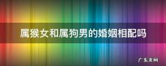 属猴女和属狗男的婚姻相配吗 属猴男和属狗女婚配如何