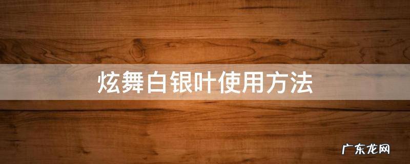 炫舞白银叶使用方法 炫舞黄金叶是在哪里使用的