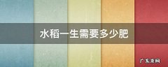 水稻一生需要多少肥 水稻一生需要多少氮肥
