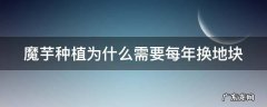魔芋种植为什么需要每年换地块 种植魔芋为什么要遮阴
