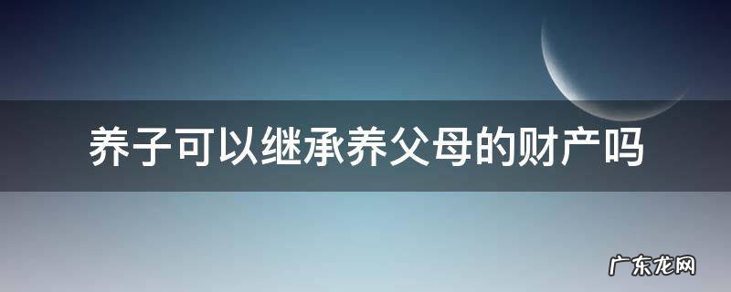 养子可以继承养父母的财产吗 养子女能否继承养父母财产
