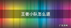 王者小队怎么退 王者小队怎么退出自己创建的队伍