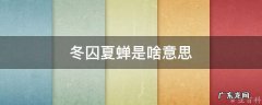 冬冻夏捂是什么意思 冬囚夏蝉是啥意思