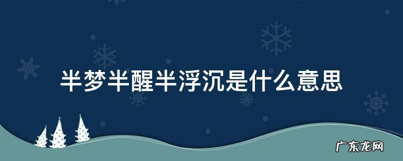半梦半醒半浮沉 半梦半醒半浮沉是什么意思