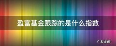盈富基金跟踪的是哪个指数? 盈富基金跟踪的是什么指数