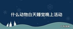什么动物白天睡觉晚上活动 白天睡觉晚上活动的动物