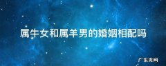 属牛女和属羊男的婚姻相配吗 属羊男与属牛女婚配好不好