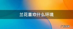 兰花适合什么环境生长 兰花喜欢什么环境