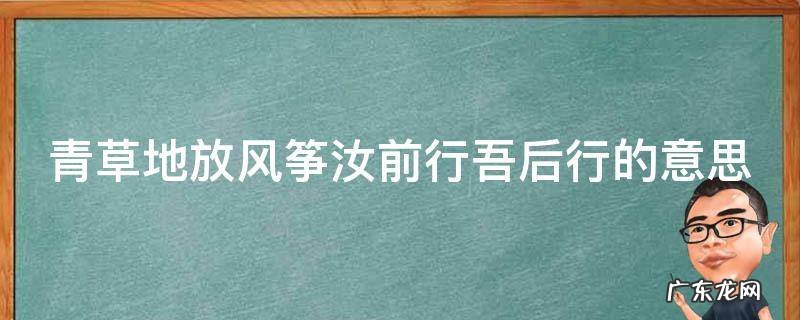 青草地放风筝小古文全文 青草地放风筝汝前行吾后行的意思