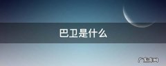 巴卫是什么 巴卫是什么星座