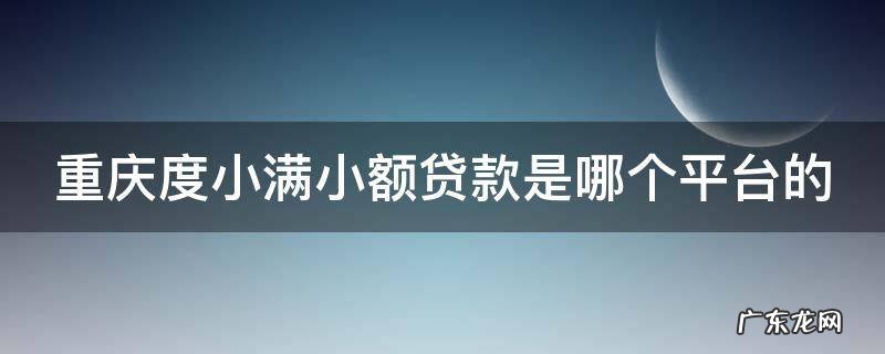 重庆度小满小额贷款有限公司对应哪儿个app 重庆度小满小额贷款是哪个平台的