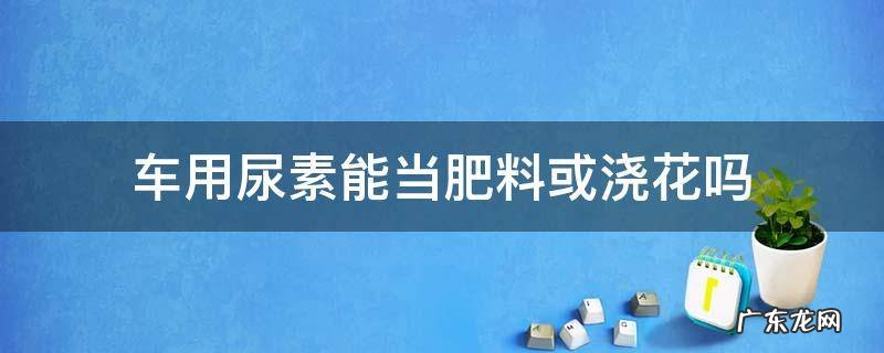 车用尿素能当肥料或浇花吗 车用尿素可不可以浇花