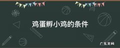 鸡蛋孵化小鸡的条件 鸡蛋孵小鸡的条件