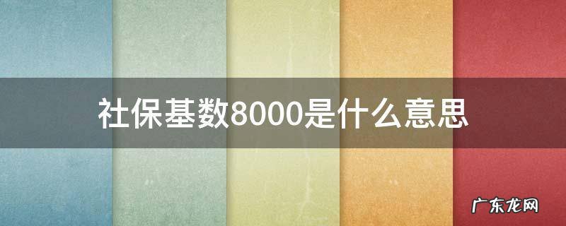 社保缴费基数8000是什么意思 社保基数8000是什么意思