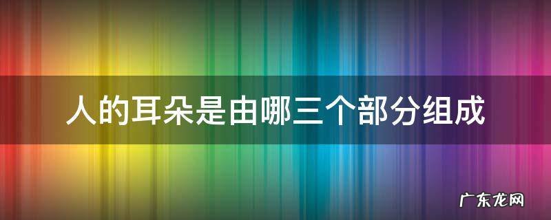 人的耳朵也可以分为三个部分 人的耳朵是由哪三个部分组成