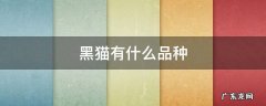 黑猫有什么品种 黑猫有什么品种的
