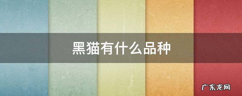 黑猫有什么品种 黑猫有什么品种的