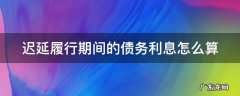 迟延履行期间的债务利息怎么算 迟延履行期间的债务利息如何计算