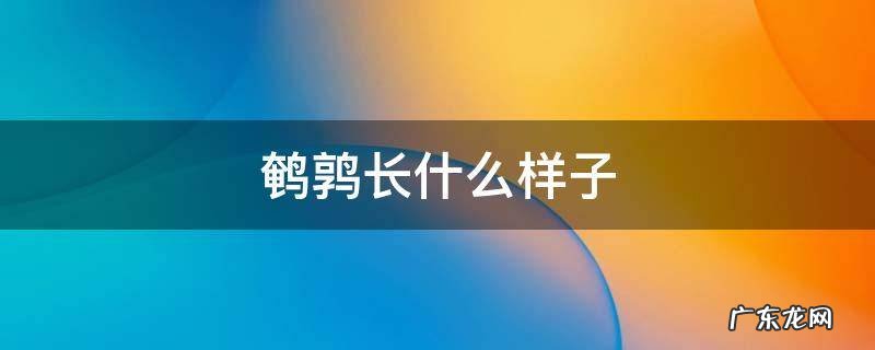 鹌鹑长什么样子能长多大 鹌鹑长什么样子
