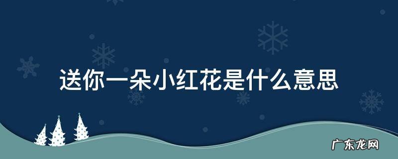 送你一朵小红花花的意思 送你一朵小红花是什么意思