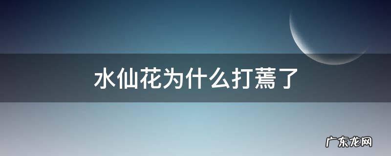 水仙花为什么打蔫了 水仙花的花骨朵发蔫