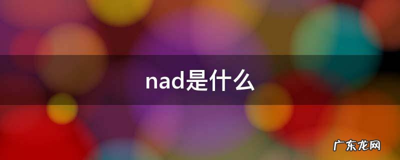 nad是什么牌子的功放 nad是什么