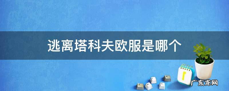 逃离塔科夫欧服是哪个 逃离塔科夫 欧服