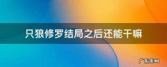 只狼修罗结局之后还能干嘛 只狼修罗结局后要干嘛