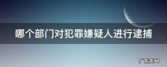 哪个部门对犯罪嫌疑人进行逮捕 哪个部门有权批准逮捕