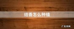 结香怎么种植 结香怎么养殖