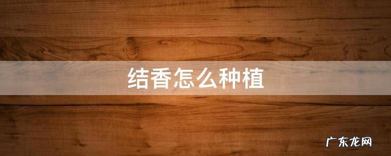 结香怎么种植 结香怎么养殖