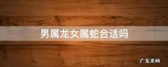 属蛇男和属龙女合适吗 男属龙女属蛇合适吗
