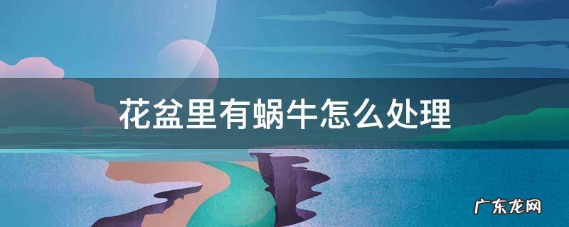 花盆里有蜗牛怎么处理 花盆里有蜗牛怎么去除